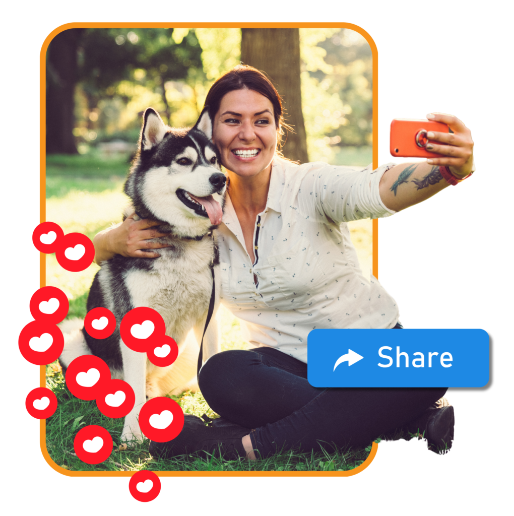 Pet social media platform by petaasy